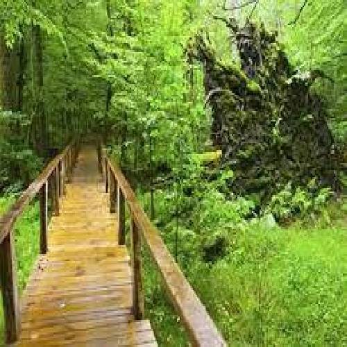 من دقیقا شدم همون چیزیو و که نباید چون مصرف میکردم همه